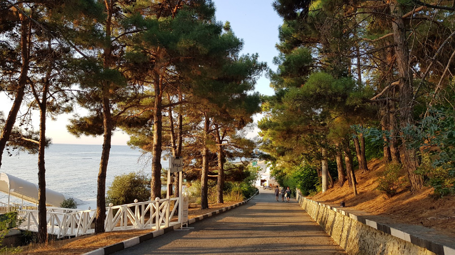 Отдых в Крыму у моря в Профессорском